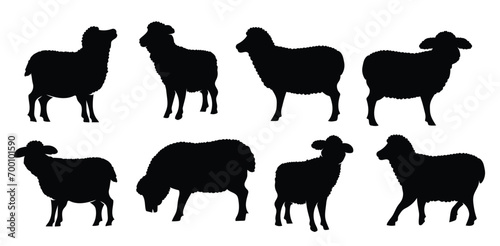 Sheep silhouette set - isolated vector images of wild animals. flat sheep silhouettes collection photo