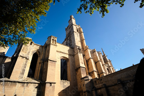 Great gothic cathedral church landmark in Narbonne, France photo