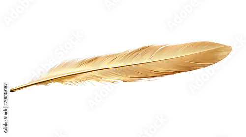 a gold feather on a white background