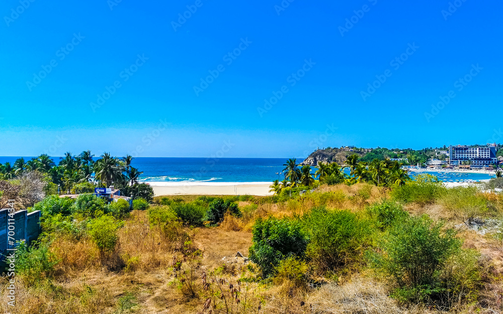 Sun beach sand surfer waves palms in Puerto Escondido Mexico.