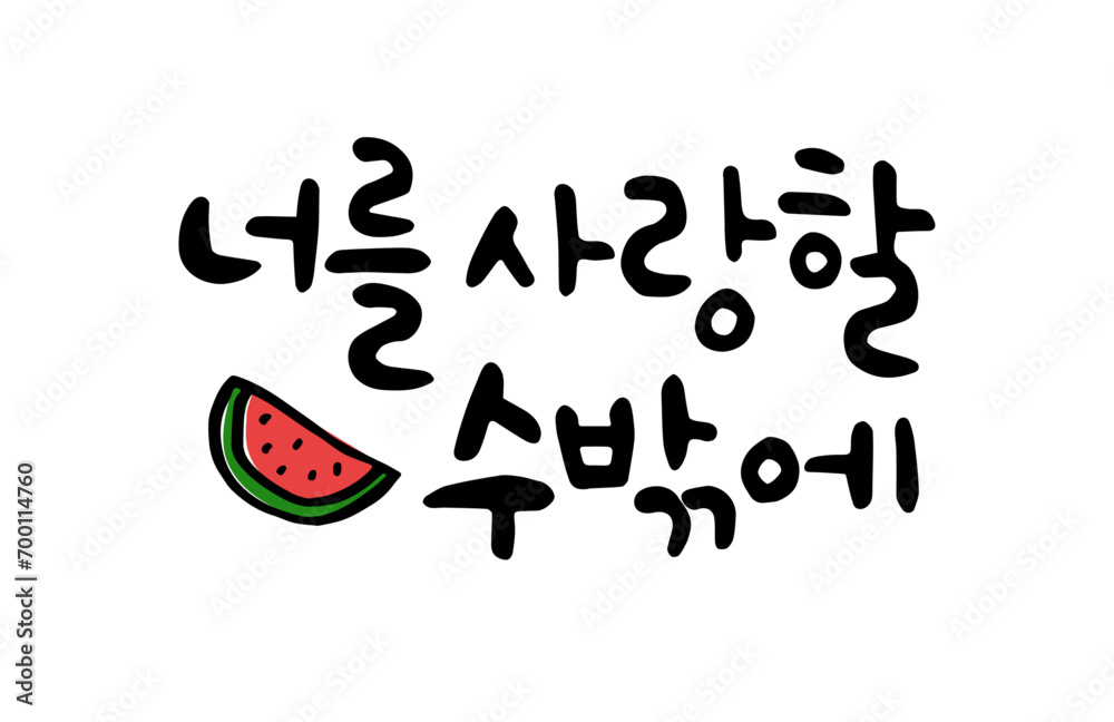 너를 사랑할 수밖에 너를 사랑할 수밖에