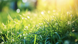 Frühlingshintergrund oder Sommerhintergrund mit frischem Gras, KI-Technologie