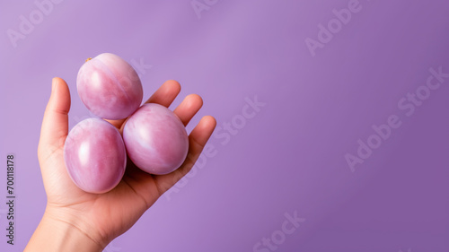 Hand holding plums fruit isolated on pastel background