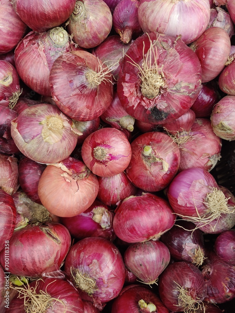 Beautiful onion scene with red and purple color. fresh onions as a background. Beautiful onion scene with red and purple color. fresh onions as a background.