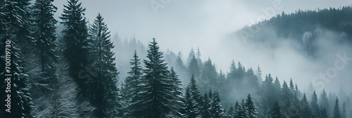Amazing mystical rising fog forest snow snowy trees landscape snowscape in black forest ( Schwarzwald ) winter, Germany panorama banner - dark mood. © john