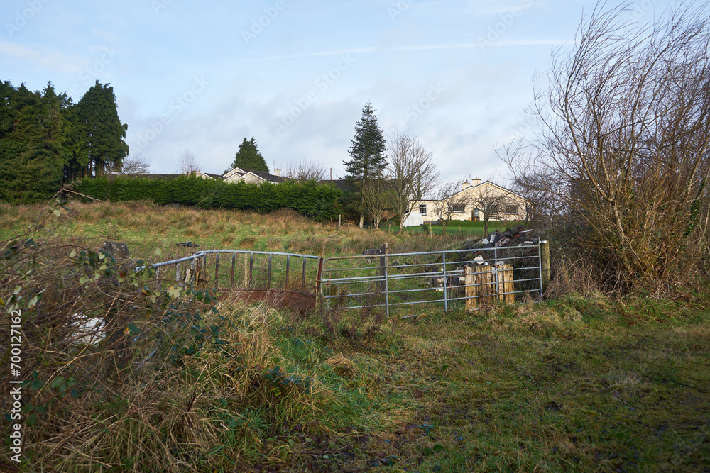 gospodarstwo, Irlandia gospodarstwo, Irlandia