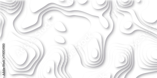 Abstract background vector Abstract wavy line 3d paper cut white background. Abstract pattern with lines. Abstract sea map geographic contour map and topographic contours map background. photo