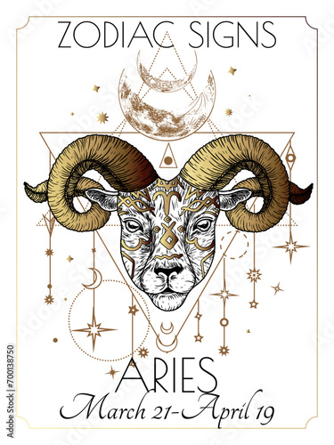 Vector illustration of zodiac signs. Aries in white and gold flowers in engraving style