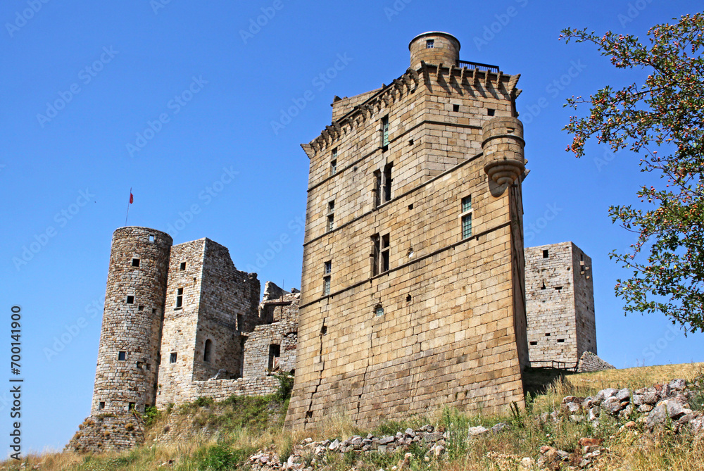 Château de Portes, vaisseau de pierres Cévennes, château-fort Hautes-Cévennes, Languedoc-Roussillon, Sud de la France