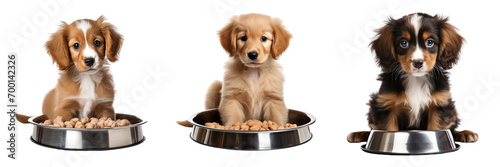 Collection of dogs with bowl of food isolated on transparent or white background