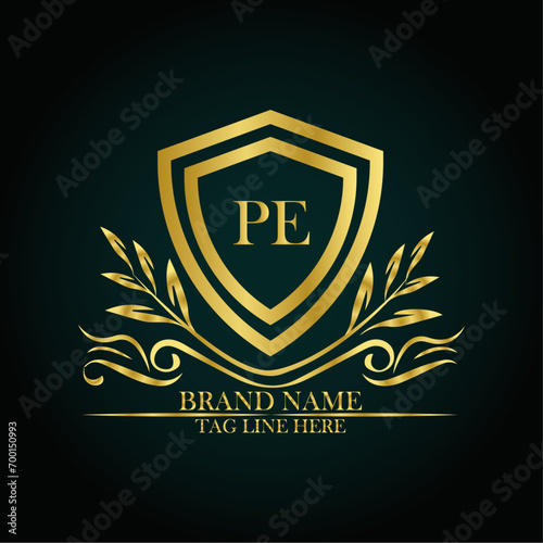 PE luxury letter logo template in gold color. Elegant gold shield icon. Modern vector Royal premium logo template vector
