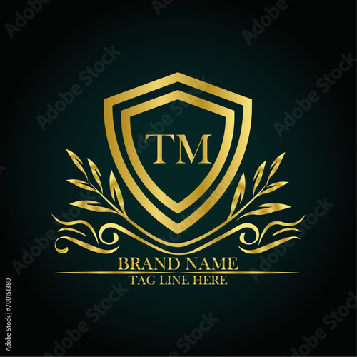 TM luxury letter logo template in gold color. Elegant gold shield icon. Modern vector Royal premium logo template vector