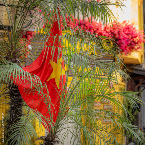 The flag of Vietnam, red with a yellow star, draped amid the frinds and leaves of a palm tree photo