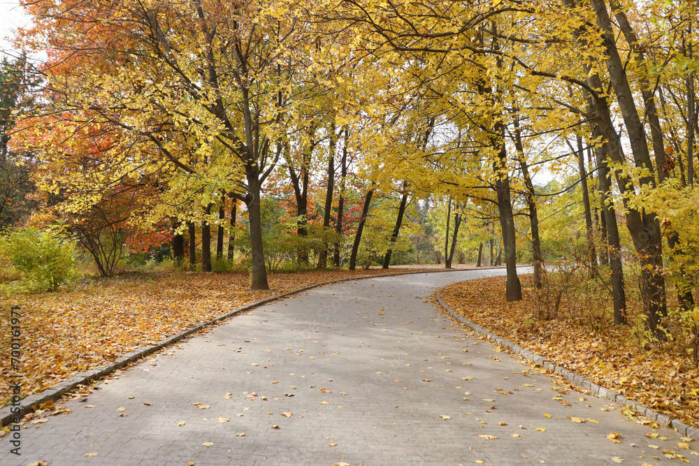 Beautiful Nature Autumn landscape. Scenery view on autumn city park with golden yellow foliage in cloudy day. Walking paths in the city Park strewn with autumn fallen leaves