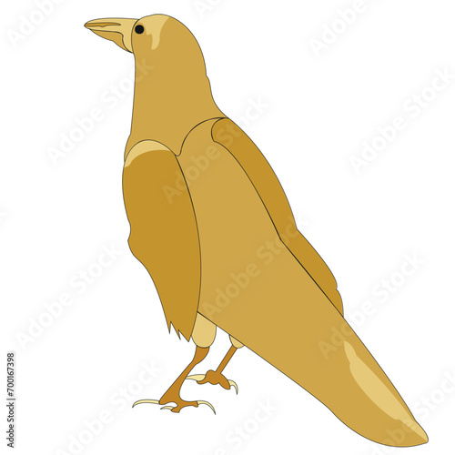Raven, drawn in a standing position. The bird presses its wings to its body. The centenarian uses his mind in obtaining food.