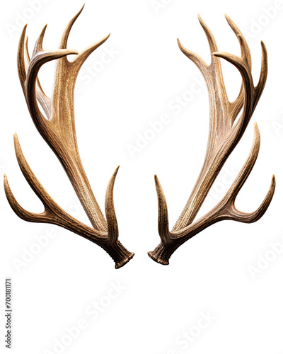 Deer antlers isolated on white background. Ai Generative