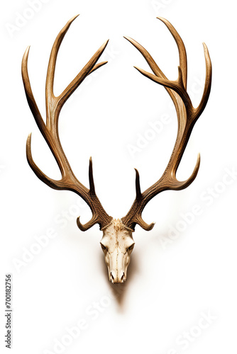 Deer skull and antlers isolated on white background. Ai Generative