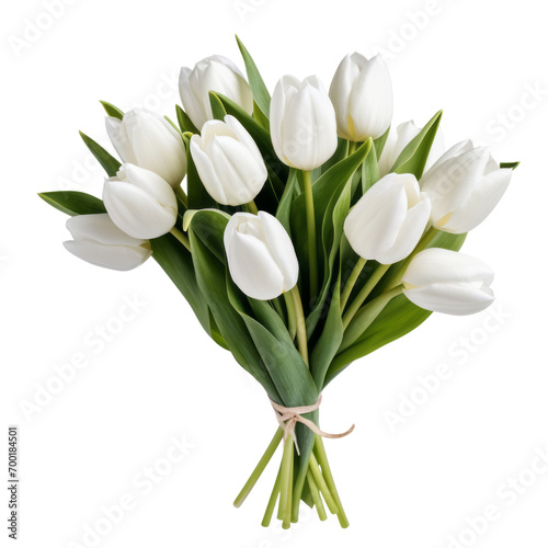White tulips symbolize new beginnings, associated with tranquility, beauty, and spirituality.