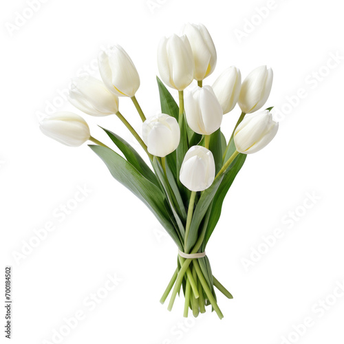 Tulips are a symbol of love and romance  signifying perfect love  abundance  passion  honesty  forgiveness  new beginnings  and complete and abundant love