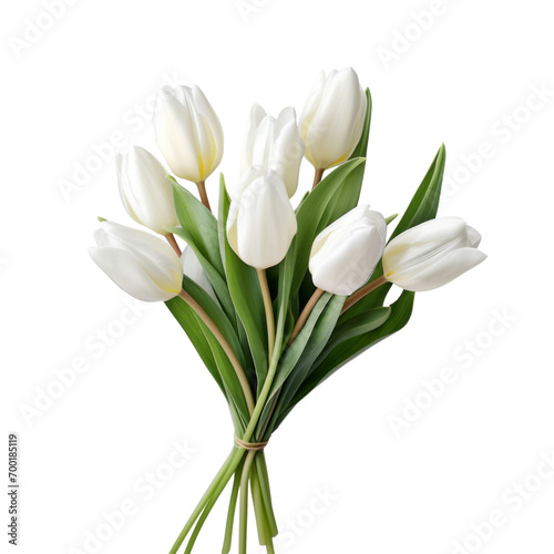 flower - Tulip (White) flowers meaning Forgiveness