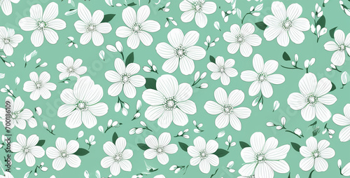 White flower patterns on pale mint green background, seamless floral pattern with flowers