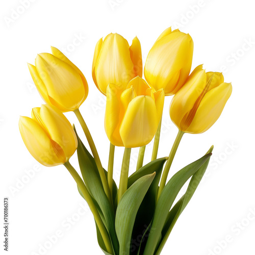 flower - Tulip (Yellow) flowers meaning Cheerful thoughts (2)