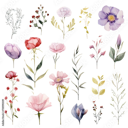 Watercolor Flower wedding Clipart Collection on a transparent background