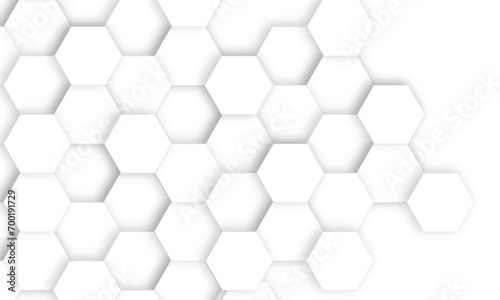 Luxury white and grey hexagonal abstract background with shadow. Geometric 3d texture illustration. Abstract hexagonal concept technology  banner and wallpaper background.