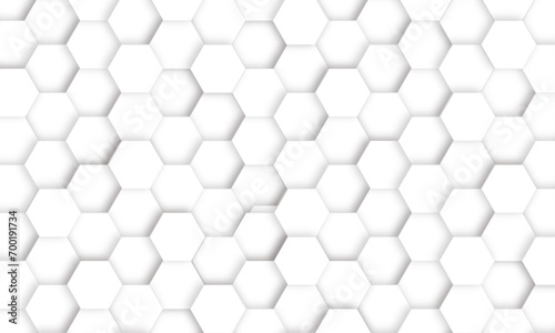 Fototapeta Naklejka Na Ścianę i Meble -  Luxury white and grey hexagonal abstract background with shadow. Geometric 3d texture illustration. Abstract hexagonal concept technology, banner and wallpaper background.