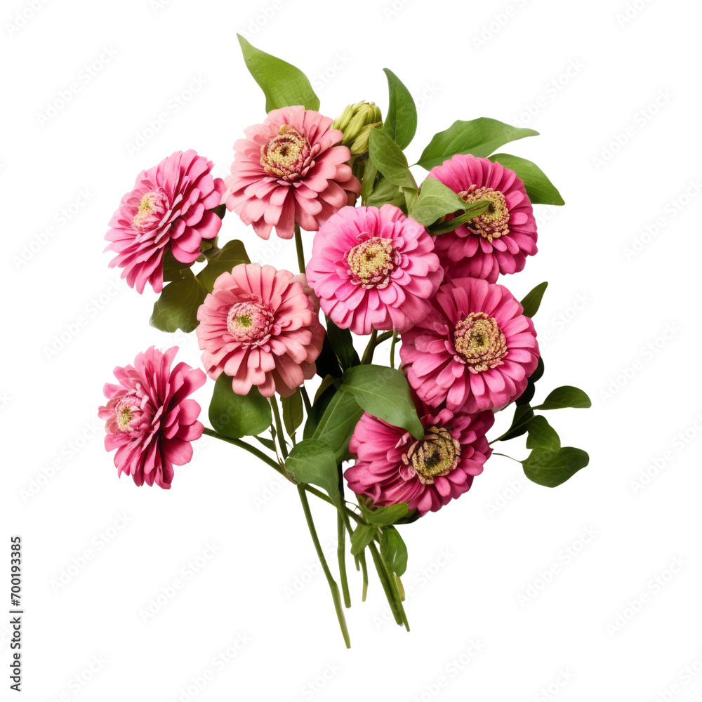 Obraz premium flower - Zinnia flowers meaning Thoughts of absent friends