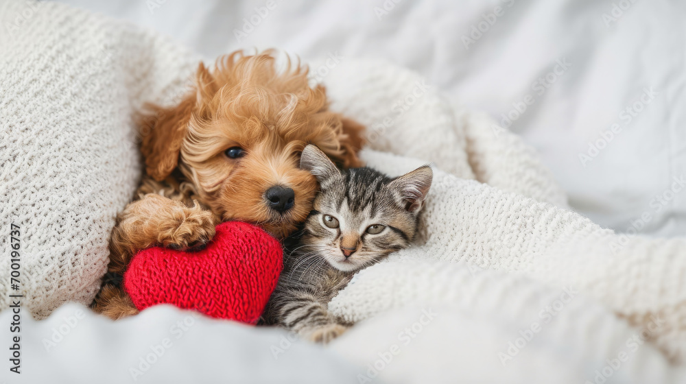 This cute scene features a small dog and kitten cozily laying on a blanket. Suitable for pet-themed designs, pet products, children's illustrations, and animal welfare promotions. - obrazy, fototapety, plakaty 