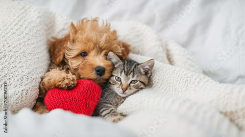 This cute scene features a small dog and kitten cozily laying on a blanket. Suitable for pet-themed designs, pet products, children's illustrations, and animal welfare promotions. photo