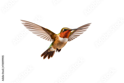 A Beautiful and Colorful Hummingbird: A Close-up Photo, Isolated on Transparent Background, PNG