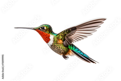 Close-up Shot of a Beautiful, Colorful Hummingbird, Isolated on Transparent Background, PNG