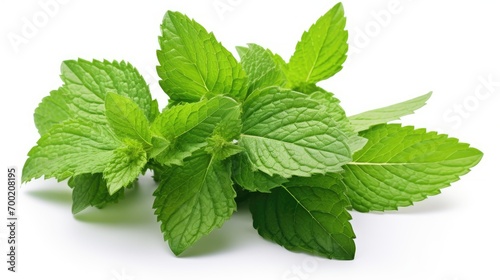 Mint leaves isolated on white background. Perfect for health and wellness concepts.