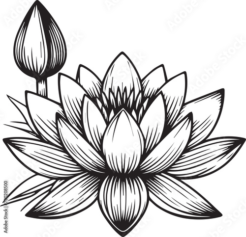 Cute flower coloring pages, waterlily drawing, waterlily line
drawing, Hand drawn botanical spring elements bouquet of lotus line art coloring page, easy flower drawing. waterlily flower art