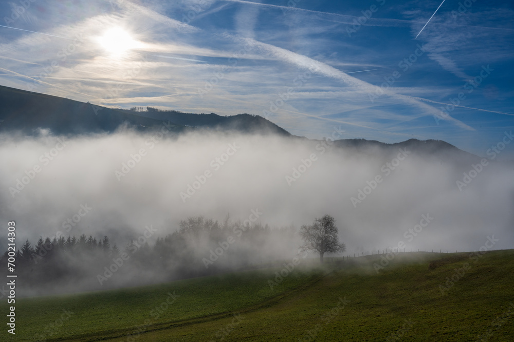 wafts of fog in the mountains of Austria