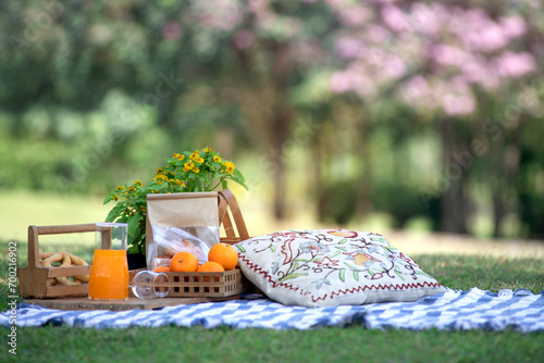 Picnic basket with oranges in the park, picnic cloth on the grass in the summer park