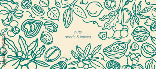 Isolated vector set of nuts. Nuts and seeds collection. Hand drawn objects. Peanuts  cashews  walnuts  hazelnuts  cocoa  almonds  chestnut  pine nut  nutmeg  peanut  macadamia  coconut  pistachios.