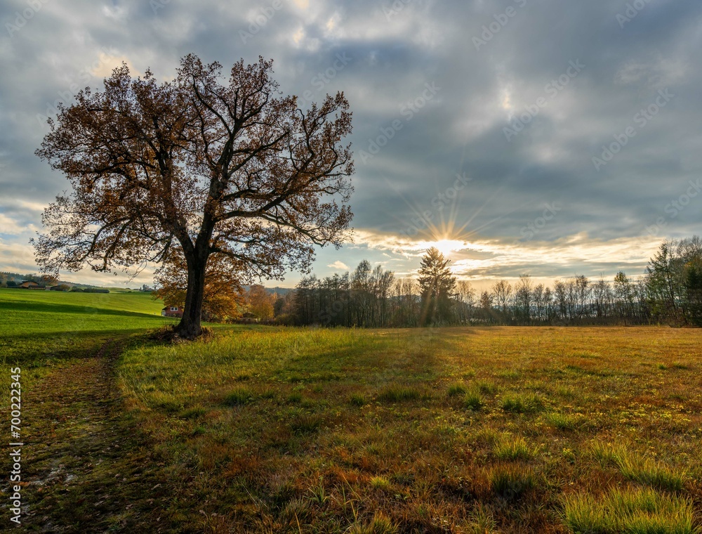 Obraz premium Oberösterreich Mattsee Sonnenuntergang Herbst Wald Bäume Blätter Herbstlich Wolken Drama Dramatischer Himmel Sonnenstern 