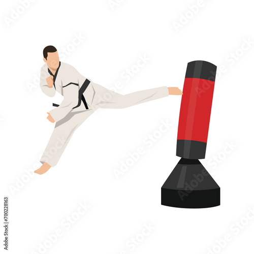 Young man doing back kick to the punching bag taekwondo martial art. Flat vector illustration isolated on white background