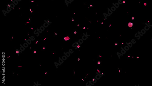 Cherrry blossam falling background for the concept of affectionate passion couples marriage anniversary backdrop. Romantic glittering petals bg for Valentine married couple photo