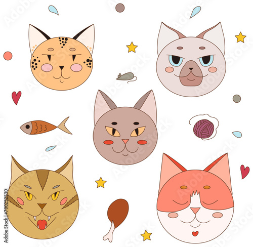 Five cat faces of different breeds. Cute cats of different breeds. Cat food and toys.