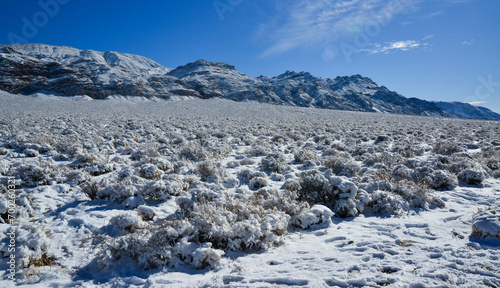 Snow in the mountains, Snow-covered mountain pass, desert plants under the snow in summer