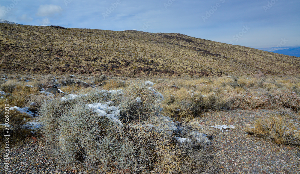 Snow in the mountains, Snow-covered mountain pass, desert plants under the snow in summer Snow in the mountains, Snow-covered mountain pass, desert plants under the snow in summer