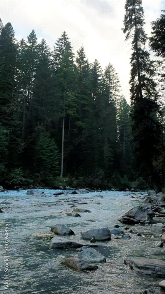 Kumrat river in the Kumrat forest Kumrat river in the Kumrat forest