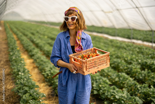 Portrait of a young stylish woman standing with basket full of fresh picked up strawberries in hothouse at farm. Organic local berry growing and farming concept