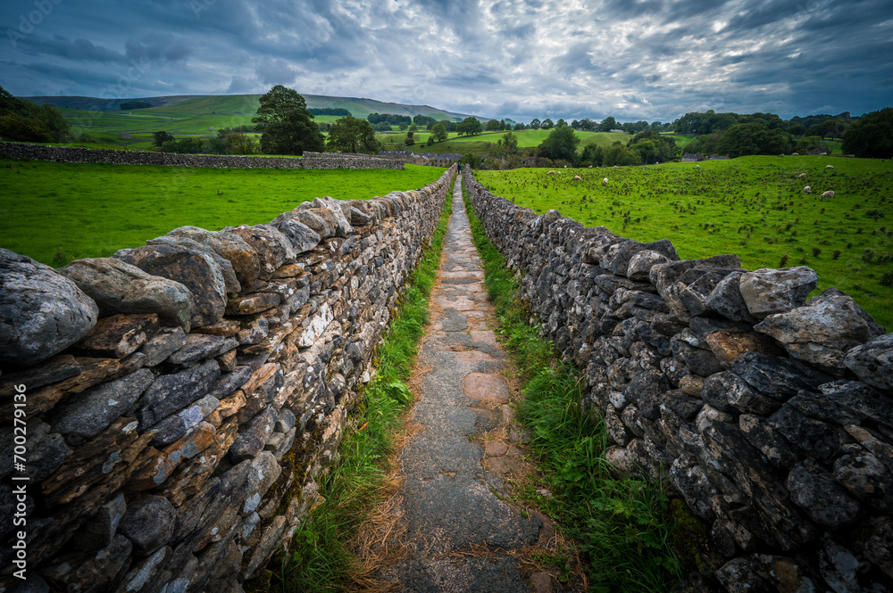 Sheep, green hills, and stone walls in the Yorkshire Dales