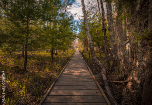 Wooden boardwalk through the marsh and forest in Spring 