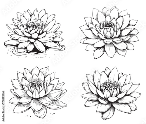 A set of line lotus flowers and leaves isolated on a white background. Completed in a drawn linear style.